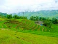 LÃÂ o Cai rice fields near Sapa Chapa in north mountains of Vietnam Royalty Free Stock Photo